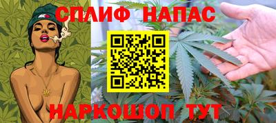 сатива Моздок